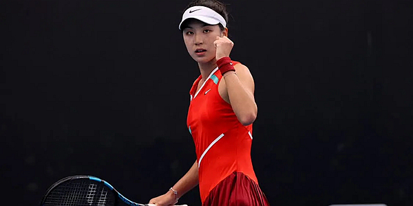 乒乓球领域 乒乓球领域