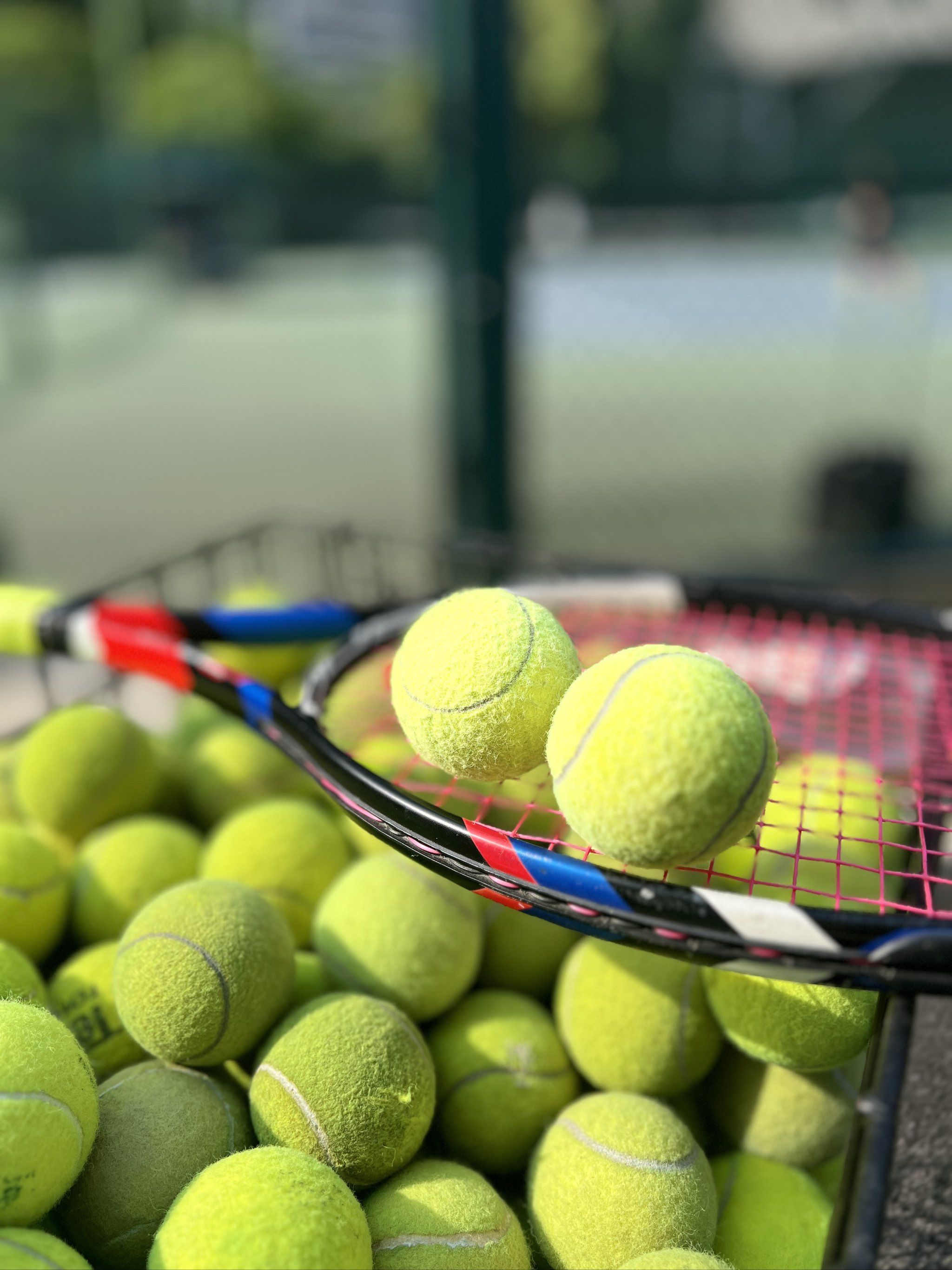 俱乐部已制 俱乐部已制